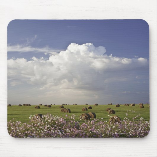 Erntefelder mit Kosmos-Blumen herein Mousepad (Vorne)