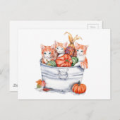 Erntekätzchen Postkarte (Vorne/Hinten)