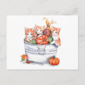 Erntekätzchen Postkarte (Vorderseite)