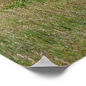 Erntemaschine für Weizenfeld Poster (Ecke)