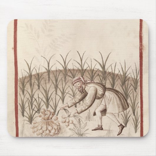 Ernten des Knoblauchs Mousepad (Vorne)