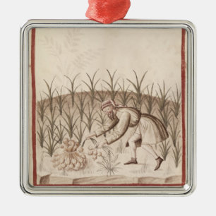 Ernten des Knoblauchs Ornament Aus Metall