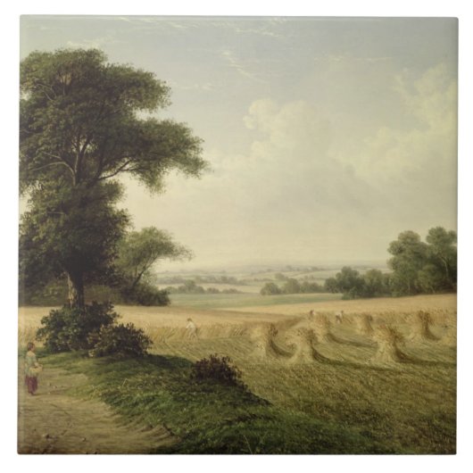 Ernten (Öl auf Leinwand) Fliese (Vorderseite)