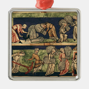 Ernten, Rhein-Schule Silbernes Ornament