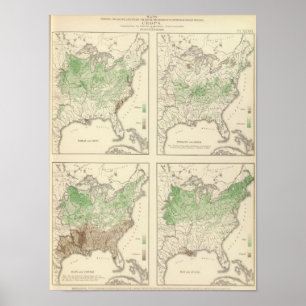 Ernten, statistische US-Lithographie Poster
