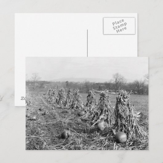 Erntezeit, 1906 postkarte (Vorne/Hinten)