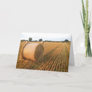 Erntezeit - Blank Greetings Card Karte