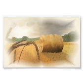 Erntezeit Fotodruck (Vorne)