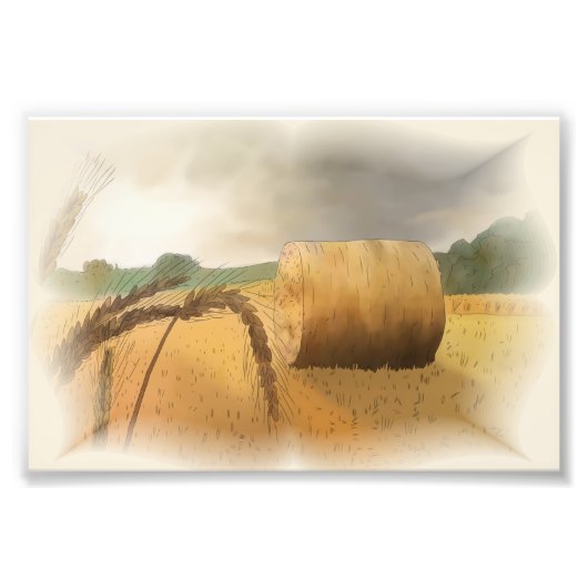 Erntezeit Fotodruck (Vorne)