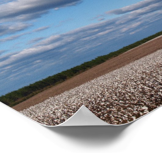 Erntezeit in einer Baumwollfeld-Leinwand oder eine Poster (Ecke)