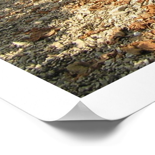 Erntezeit Poster (Ecke)