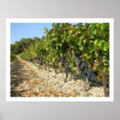 Erntezeit Poster (Vorne)