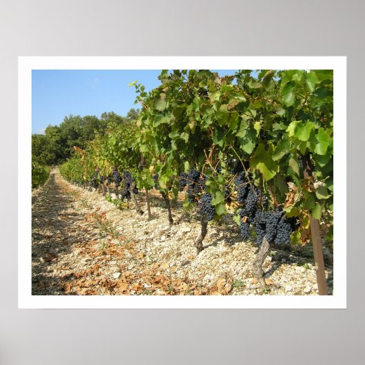 Erntezeit Poster (Vorne)