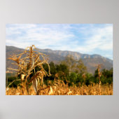 Erntezeit Poster (Vorne)