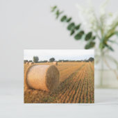 Erntezeit Postkarte (Stehend Vorderseite)