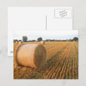 Erntezeit Postkarte (Vorne/Hinten)
