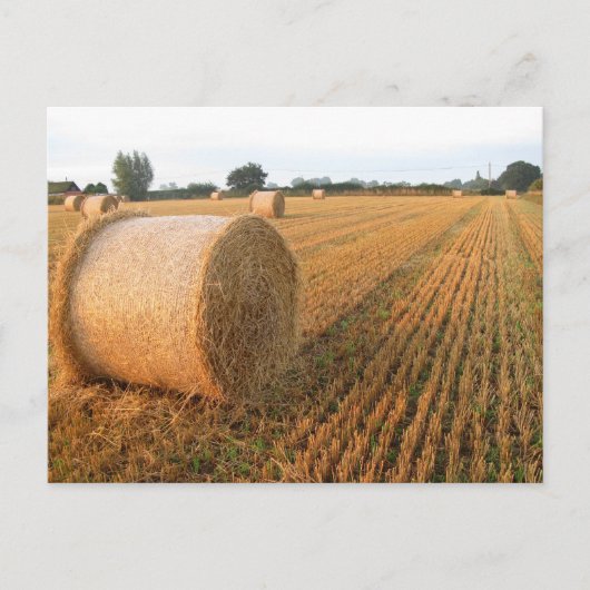 Erntezeit Postkarte (Vorderseite)