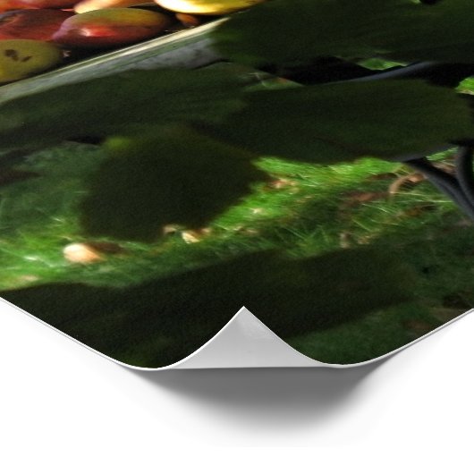 Erntezeitposter Poster (Ecke)