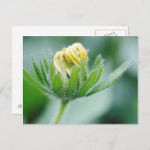 Eröffnung der Blume der Kon-Blume Postkarte (Vorne/Hinten)