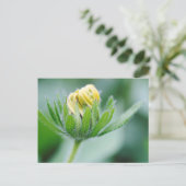 Eröffnung der Blume der Kon-Blume Postkarte (Stehend Vorderseite)