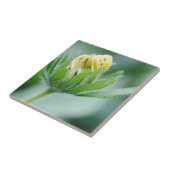 Eröffnung der Blume der Kone-Blume Fliese (Seite)