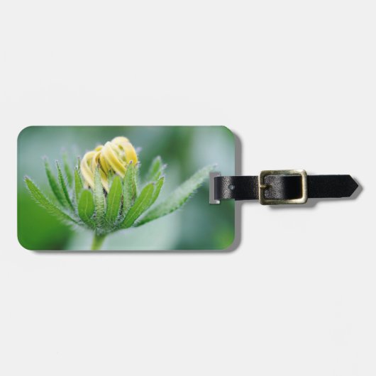 Eröffnung der Blume der Kone-Blume Gepäckanhänger (Vorderseite horizontal)