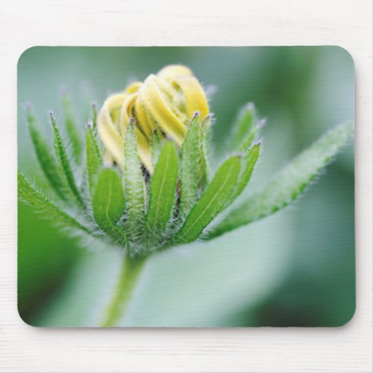 Eröffnung der Blume der Kone-Blume Mousepad (Vorne)