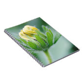 Eröffnung der Blume der Kone-Blume Notizblock (Rechte Seite)