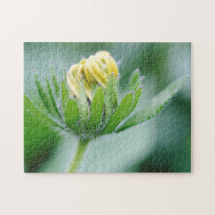 Eröffnung der Blume der Kone-Blume Puzzle