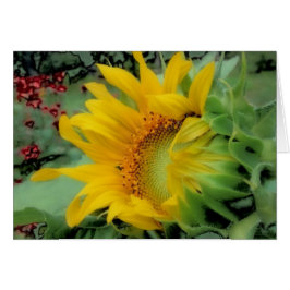 Eröffnungstag - Sonnenblume