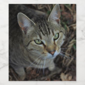 Eros Weinetikett (Einzelnes Label)