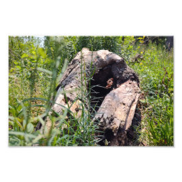 Erosion Carving Fotodruck