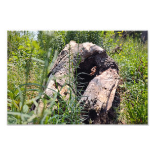 Erosion Carving Fotodruck