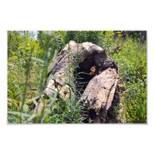 Erosion Carving Fotodruck (Vorne)