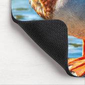 Erpel auf Steinen am Seeufer Mousepad (Ecke)