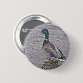 Erpel im grauen Wasser Button (Vorne & Hinten)