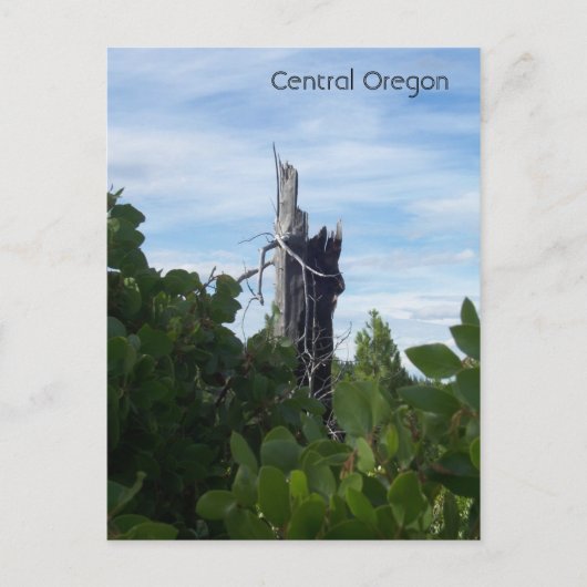 erreichbar postkarte (Vorderseite)