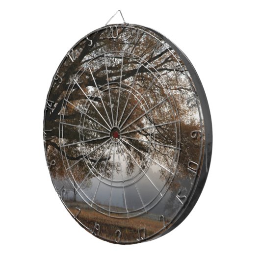 Erreichbarkeit Dartscheibe (Vorderseite rechts)