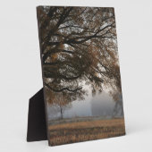 Erreichbarkeit Fotoplatte (Seite)