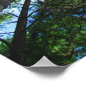 Erreichbarkeit für das Sky Tree Fotograf Poster (Ecke)