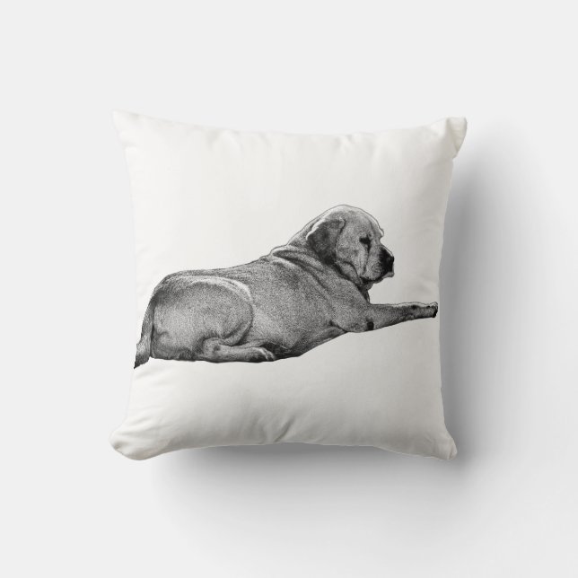 Erreichbarkeit Kissen (Vorderseite)