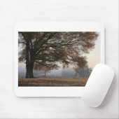 Erreichbarkeit Mousepad (Mit Mouse)