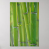 Erreichbarkeit Poster (Vorne)