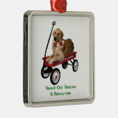 Erreichen Sie heraus Rettungs-Lastwagen-Verzierung Silbernes Ornament (Rechts)