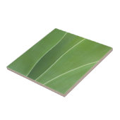 Erreichte Pflanze Nah Fliese (Seite)