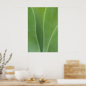 Erreichte Pflanze Nah Poster (Küche)