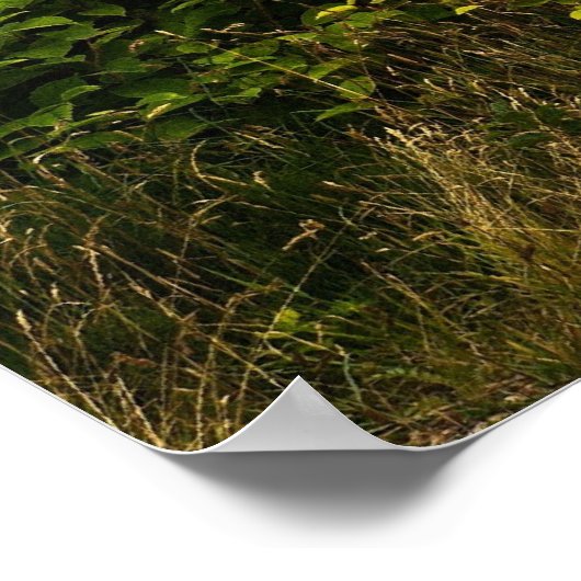 Errigal Poster (Ecke)