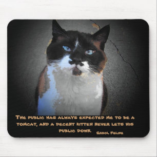 Errol katzenartig - internationales Tomcat Mousepad