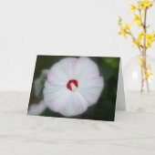 Erröten Hibiskus-Karte Karte (Gelbe Blume)
