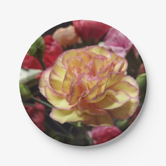 Errötende Blumenblätter Pappteller (Vorderseite)